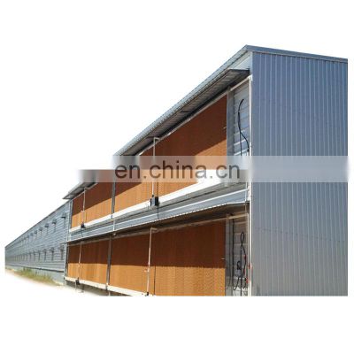 Chicken Poultry Shed Poultry Farm Design Layer Broiler Chicken House