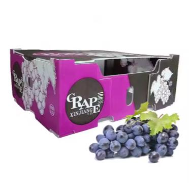 Mayorista de cajas de plástico PP corrugado para frutas y verduras – Fábrica de cajas de embalaje personalizadas