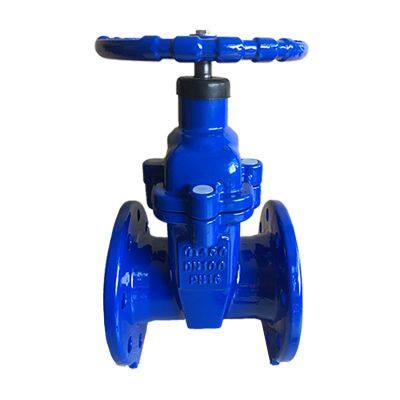 Trending Products DIN Soft Seat GG25 GGG40 DN100 F4 NRS Gate Valve Lighter Type Resilient Gate Valve photo-4