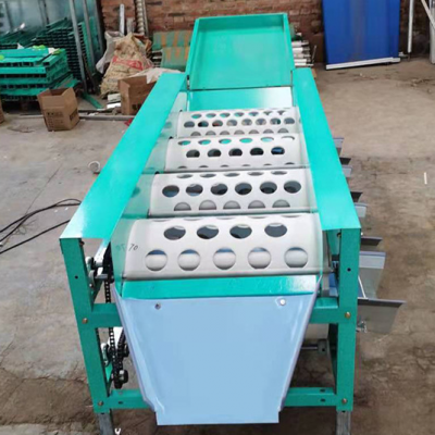 Easy Operation Barrel Stage Type Machine Persimmon Fruit Selection Machine Onion Screening Machine