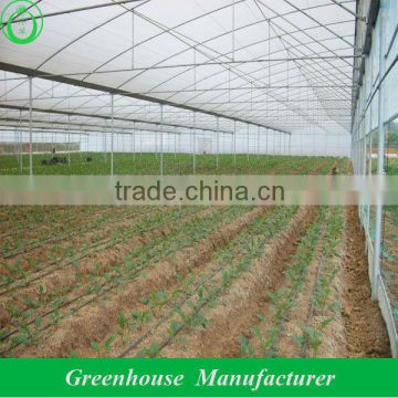 tomato greenhouse for sale