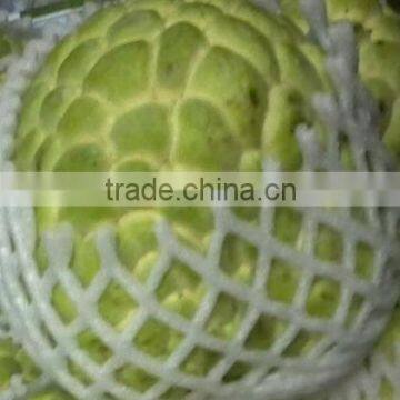 Custard Apple