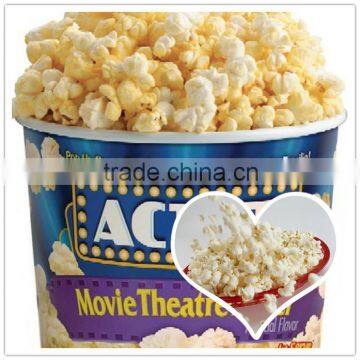 China Made Cost Saving Popcorn Snack Food Processing Line photo-4