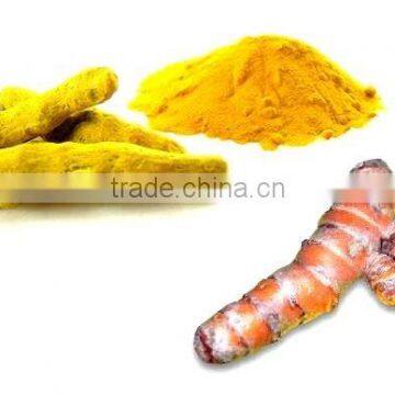 Curcumin 95%