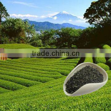 Chunmee Green Tea Moroccan Mint Tea Free Sample