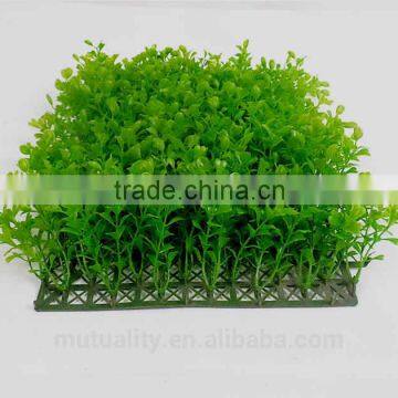 2016 Latest product evergreen vibrant grass mat boxwood hedge mat for green wall decoration