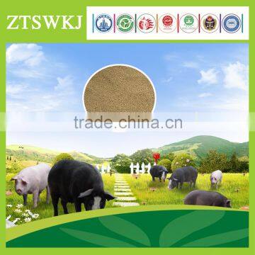 Poultry Bio Feed for Pigs / Swine Biological Concentrated Feed