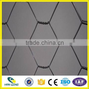 Weave Mesh Type and Hexagonal Hole Shape Hexagonal Wire Mesh for Zoo Bird Cages photo-6