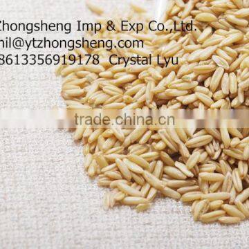 hulled oats grain with edible grade quality