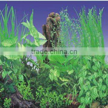 waterproof plastic aquarium background picture J51