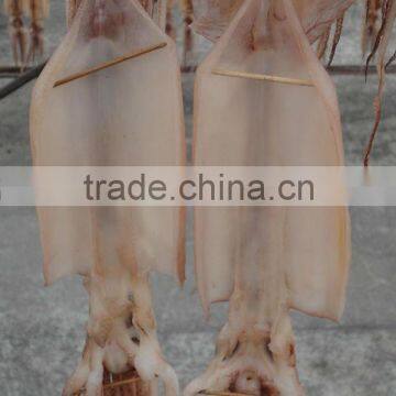 Dried squid