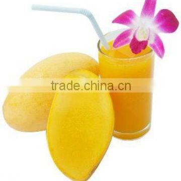 Natural Pure Mango Juice Drink