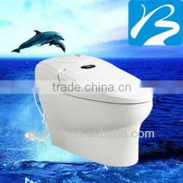 Intelligent Bathroom Ware Toilet