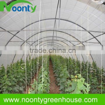 Plastic tunnel greenhouse