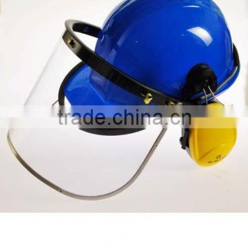 Safety helmet with face shield and earmuffs