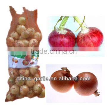 Want to buy Onion in 2013