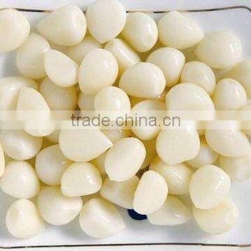 Hot Sale Fresh Chinese Normal White Garlic photo-3
