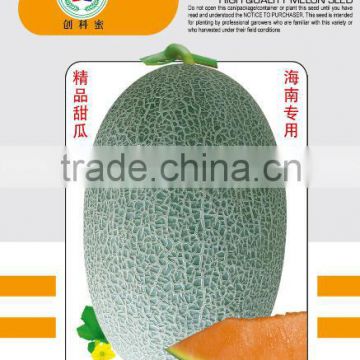 Hybrid sweet melon cantaloupe muskmelon seeds for growing-Classic No.2