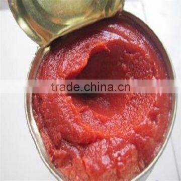 Tinned and Canned Tomato Paste 70-4500g on sale