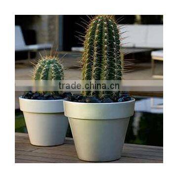 Luxury Top Quality Floating Bonsai Pot Fiberglass Plants Container and Flowers Pots photo-3