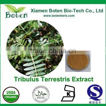 Manufacturer Supplier High Quality Tribulus Terrestris Powder With Free Sample for Wholesale photo-2