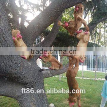 customized plush artificial realistic life like monkey