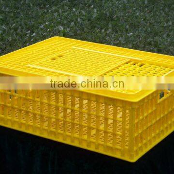 Plastic Chicken Moving Crates