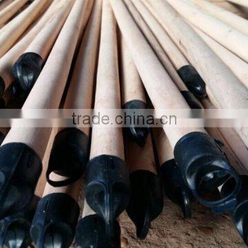 Natural Wooden broom handles with screw