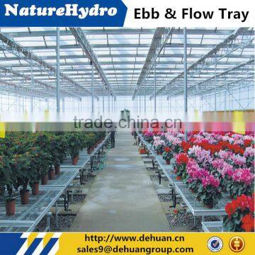 Commercial hydroponic plastic tray for greenhouse