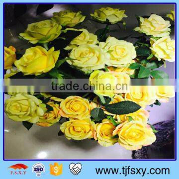 Simulation Art Rose photo-5