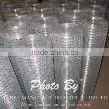 50x50mm Galvanized Steel Wire Mesh Panels photo-6