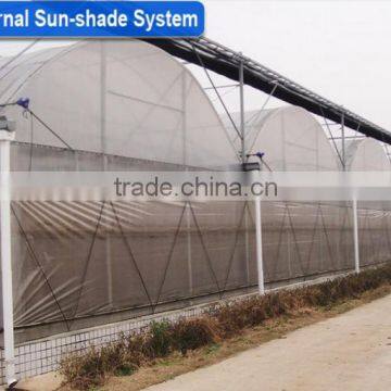 Professional Multi-Span Pvc Covered Greenhouse For Agricultural Planting photo-4