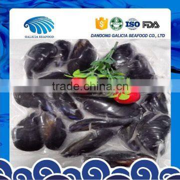 Hot Sale Frozen Cooked Mussels in Full Shell