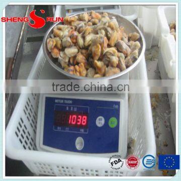 Frozen Boiled Mussel Meat photo-3