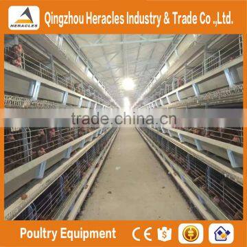 Heracles Factory Price Poultry Equipment Automatic Layer Chicken Egg Cages photo-3