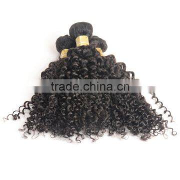 2017 Hot Sell African Curl Hair Weft for Black Women photo-3