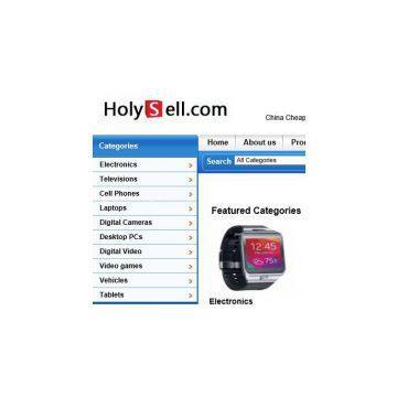 holysell Electronics Technology International Trade Co.Ltd