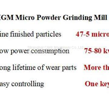 Pyrophyllite Grinding Mill for Sale in China photo-4