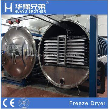 FD-20R 200kgs fruit food vegetables meals vacuum freeze dryer