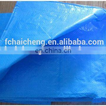 all purpose polyethylene tarp 10x10 Sg