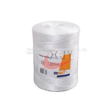 UV PP Packing Tomato Twine   Tomato Planting  Greenhouse Accessories For Sale