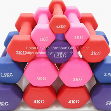 Home Fitness Dumbbell Sets for Women photo-4