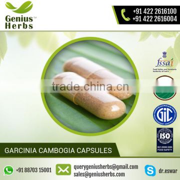 GMP Certified Garcinia Cambogia Weight Loss Capsules Price