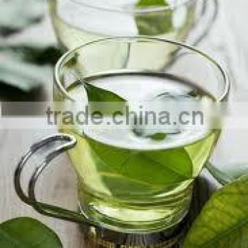 Premium Grade Green tea for OEM manufacturing