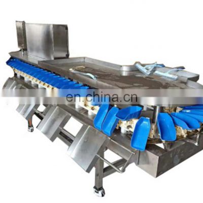 LONKIA Factory Sales mango orange washing and grading machine , tangerine sorting machine