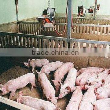 Infrared Catalyst Gas Heater for Poultry Farm (HD2606) photo-5