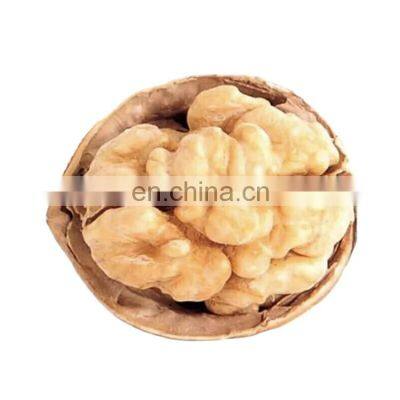 Wholesale low moq bulk  cheap walnuts seeds kilo price raw nuez walnut from tree