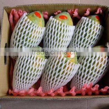 Epe Fruit Packaging Net, Safety Net For Fruit Epe Foam, Foam Packing Net photo-3