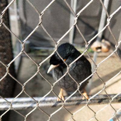 Architectural Grade 304L Stainless Steel Rope Mesh - Plain Weave Design photo-2