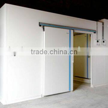 commercial walk in blast freezer for chicken feet